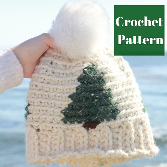 Crochet Winter Hat Pattern, Crochet Beanie, Crochet Hat Pattern, Women's Crochet Hat, Crochet Pattern, Easy Crochet Pattern,Tapestry Crochet