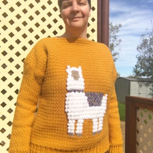 Crochet Llama Sweater, Crochet Sweater for Women, Crochet Sweater for Girls, Crochet Sweater Kids, Crochet Llama, Intarsia Crochet image 8