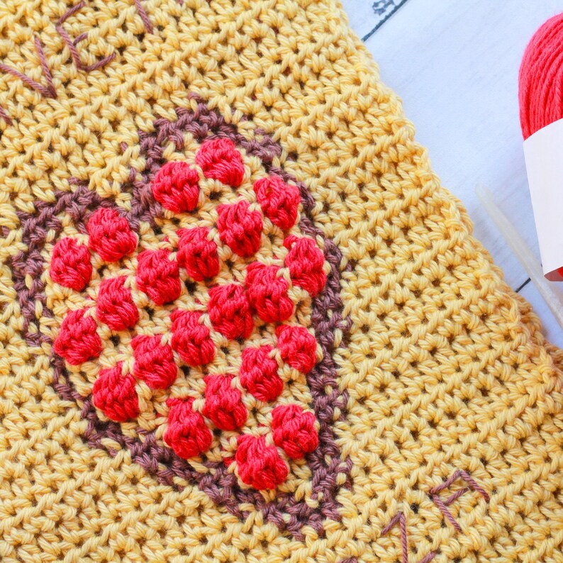 Pizza My Heart Towel, Crochet Towel Pattern, Crochet Pizza Pattern, Crochet Pizza Towel, Intarsia Crochet, Easy Crochet Pattern image 5