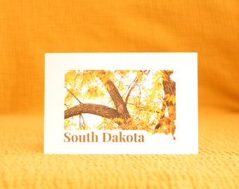 SD Leaves | Postcard