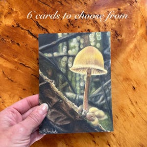 Biglietti d'auguri con motivi botanici, biglietti d'auguri, biglietti vuoti, biglietti per tutte le occasioni, biglietti di auguri di compleanno, biglietti per amanti delle piante, biglietti per funghi, biglietti d'auguri di artisti canadesi, biglietti d'auguri con busta A6, ritiro in loco