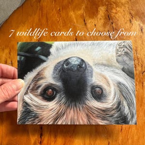 Biglietti di auguri, Biglietti d'auguri, Biglietti d'auguri con animali, Biglietti d'auguri vuoti, Biglietti d'auguri per tutte le occasioni, Biglietti d'auguri per amanti degli animali, Biglietti d'auguri artistici, Biglietti d'auguri per artisti canadesi, Biglietti d'auguri in formato busta A6, Ritiro in loco