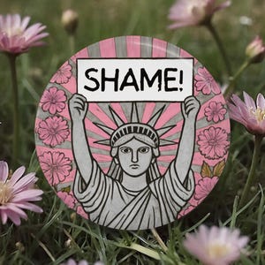 SHAME Button, Protest Pin, Resist Magnet, Resistance, Activist, Political