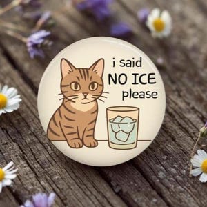 No ice Please Cat Button, Pin, Magnet, Resistance, Activist, Political