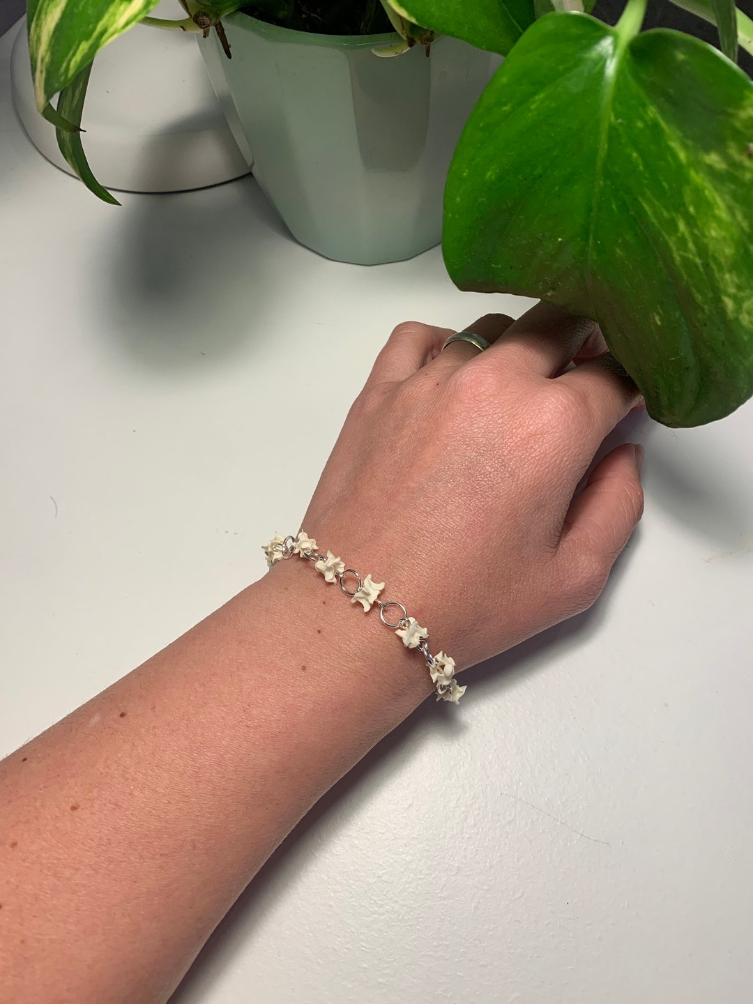 Snake Vertebrae Bracelet. Animal Bone Bracelet. Armband Van Dierlijk