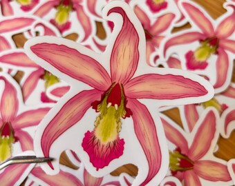 Laelia orchid translucent vinyl sticker