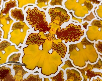 Trichocentrum orchid translucent vinyl sticker