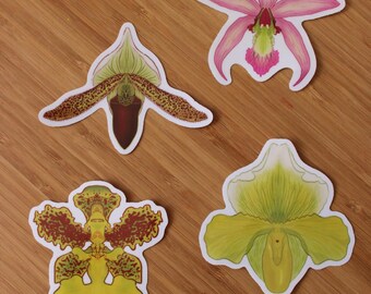 Sticker pack transparent orchids.