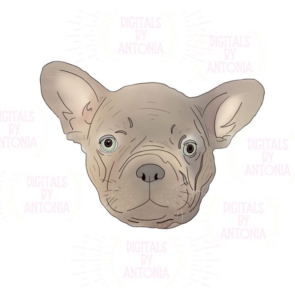 Frenchie PNG SVG designs, French bulldog T-Shirt design, printable design, png Cup design, svg t-shirt design, Sublimation design