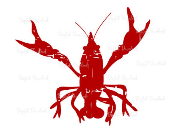 Crawfish Svg Crayfish Svg Grunge Distressed Kids Svg Files Etsy