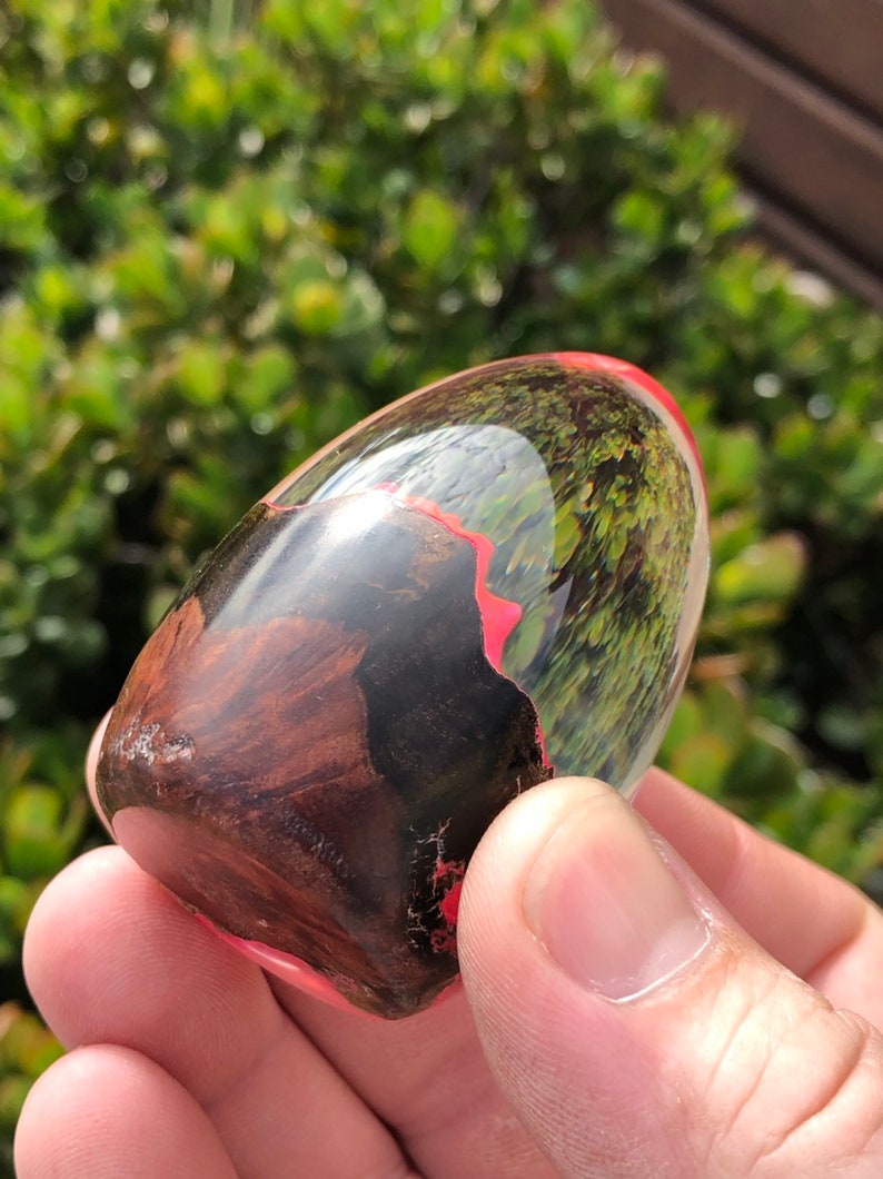 Wood and resin Dragon Egg by Bens Worx