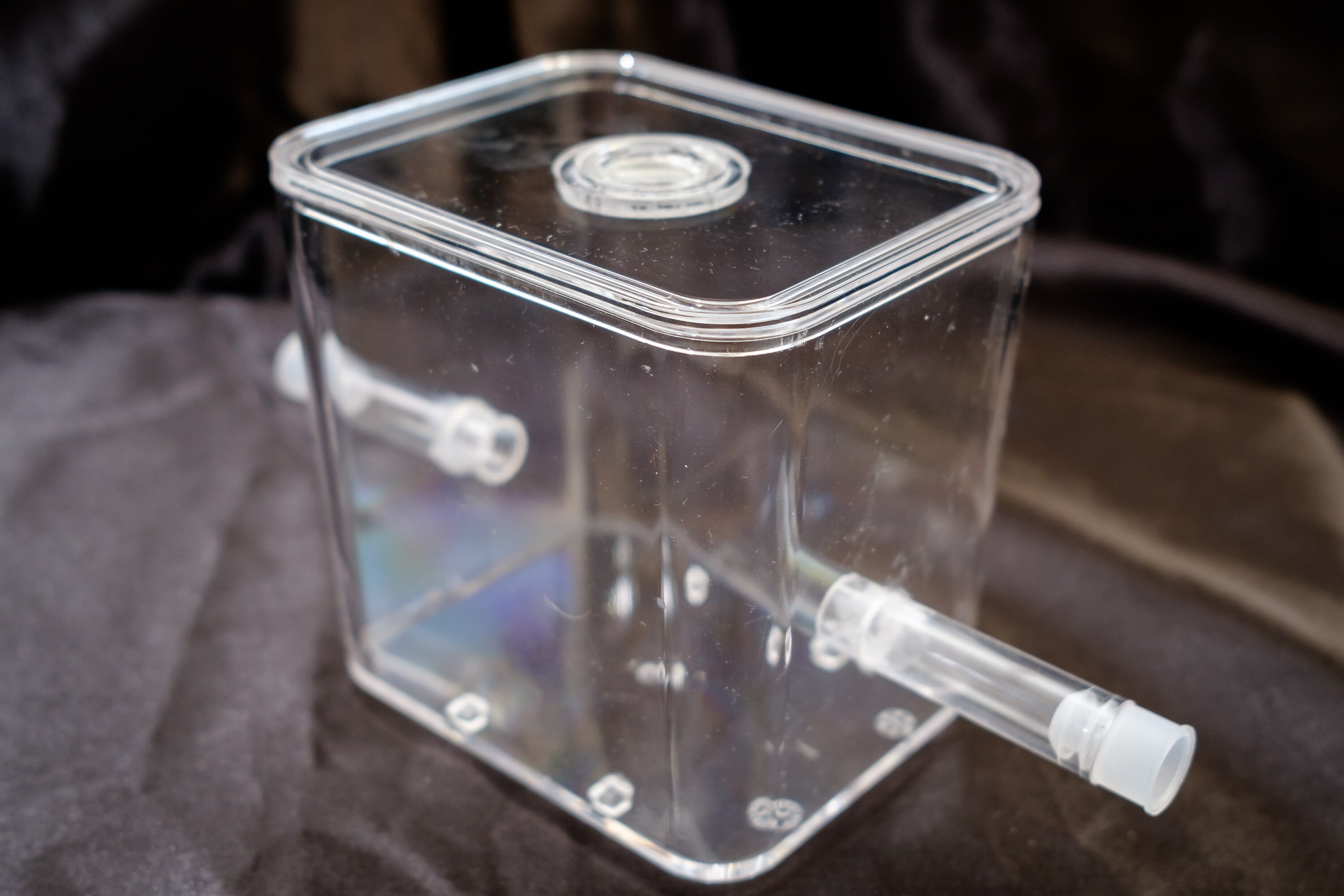 Small Ant Spider Insects Arena Formicarium Farm Ant Housing Your Ant ...