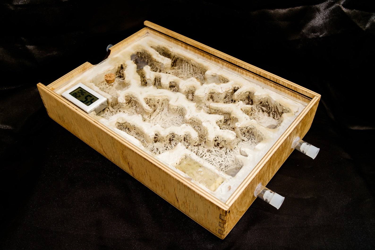 Große Holz Ameise Hybrid Nest Ant Gehäuse Ant Farm