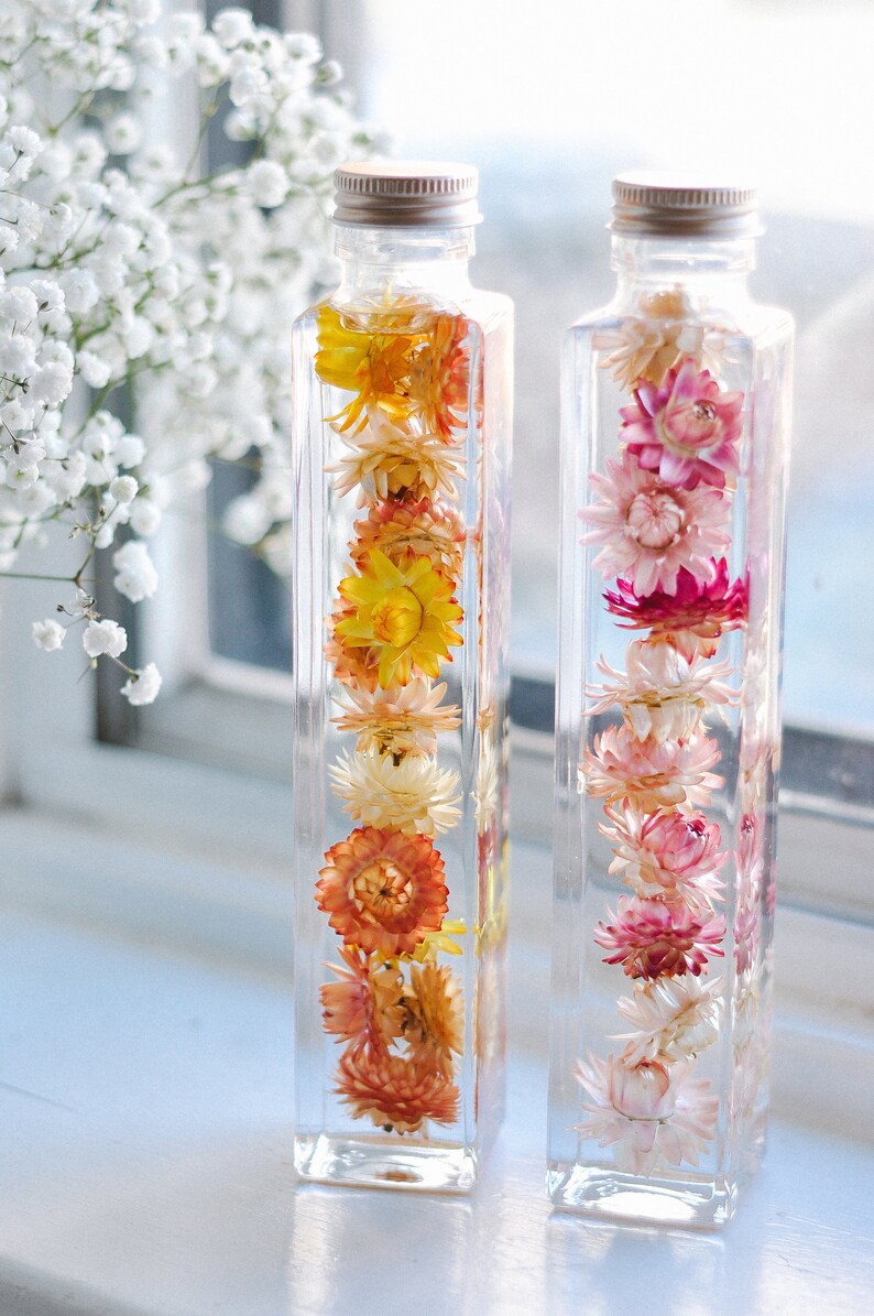 FOREVER YOURS Dried Strawflowers Japanese Herbarium Beautiful Bottle Immortal Daisy Deep Appreciation Thank You Unique Gift Made in Canada