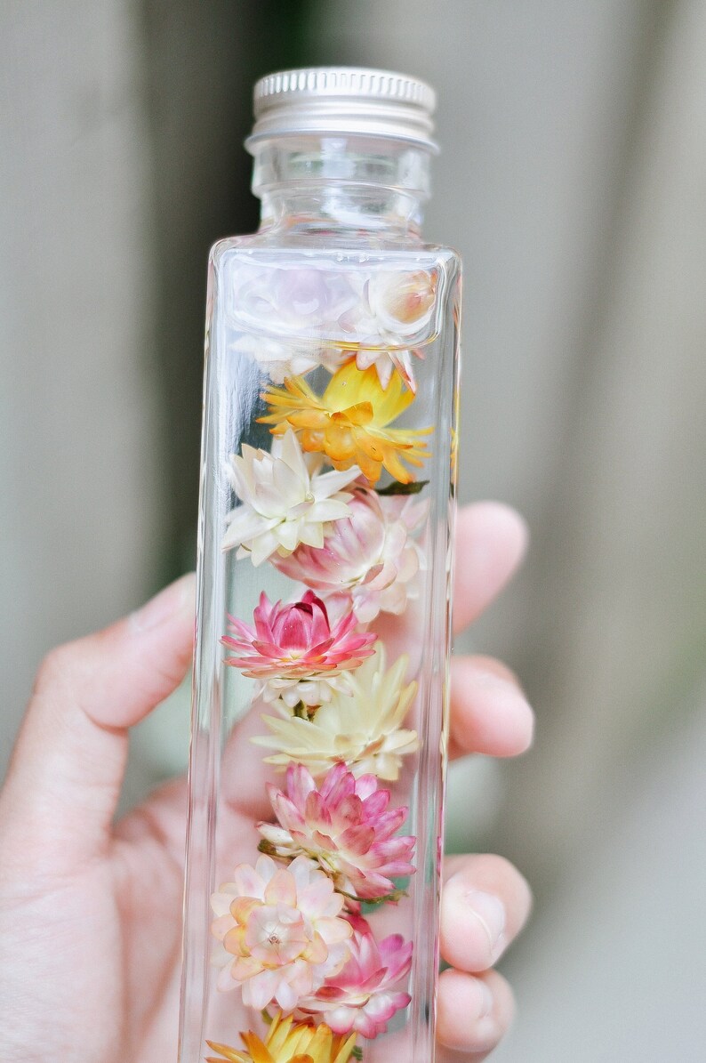 FOREVER YOURS Dried Strawflowers Japanese Herbarium Beautiful Bottle Immortal Daisy Deep Appreciation Thank You Unique Gift Made in Canada