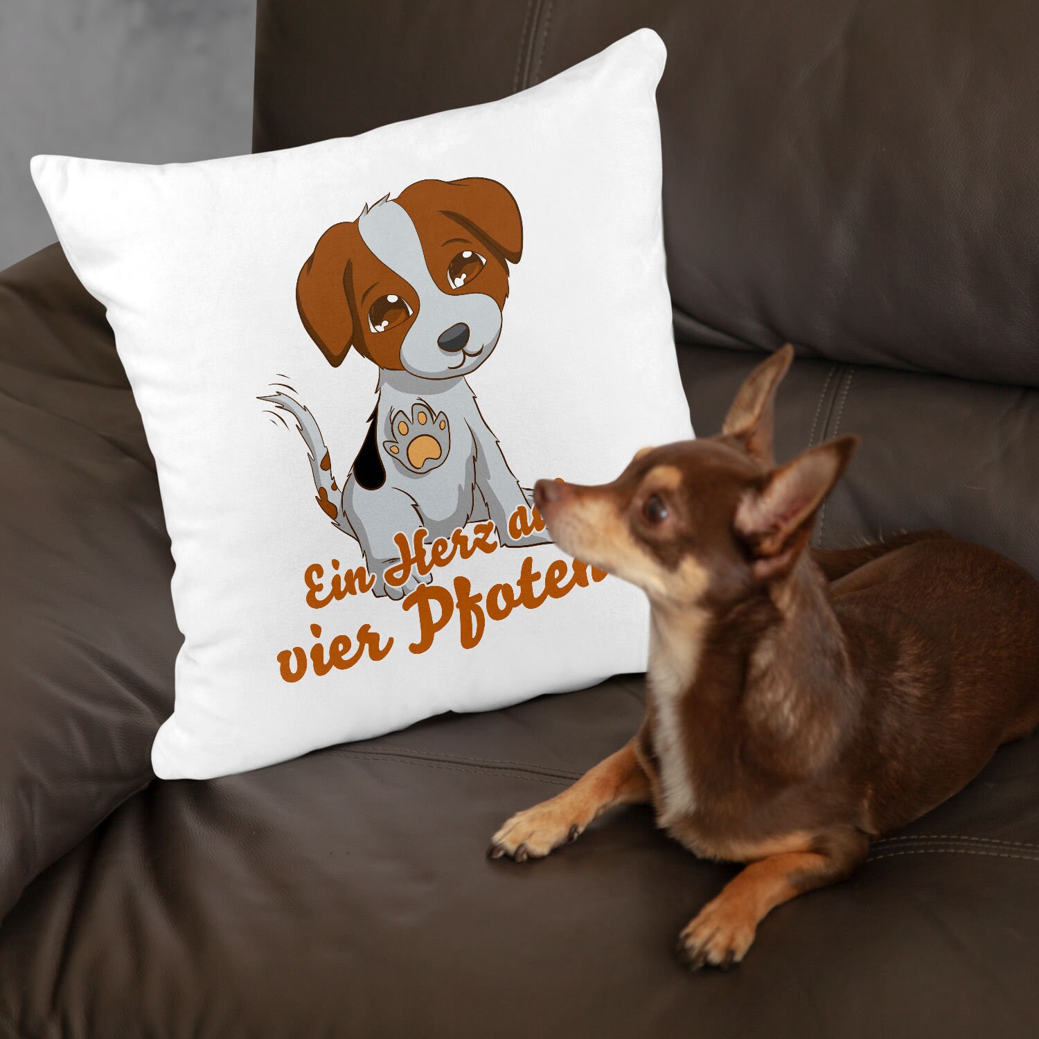 juckende pfoten hund