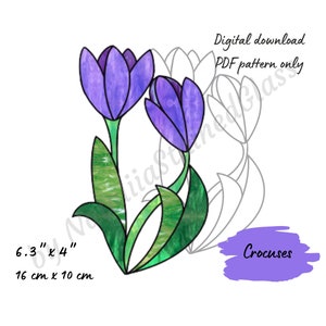 Pode incluir: Um padrão de vitral de dois crocus roxos com folhas verdes. O padrão mede 6,3 polegadas por 4 polegadas, ou 16 cm por 10 cm. O padrão é apenas para download digital.