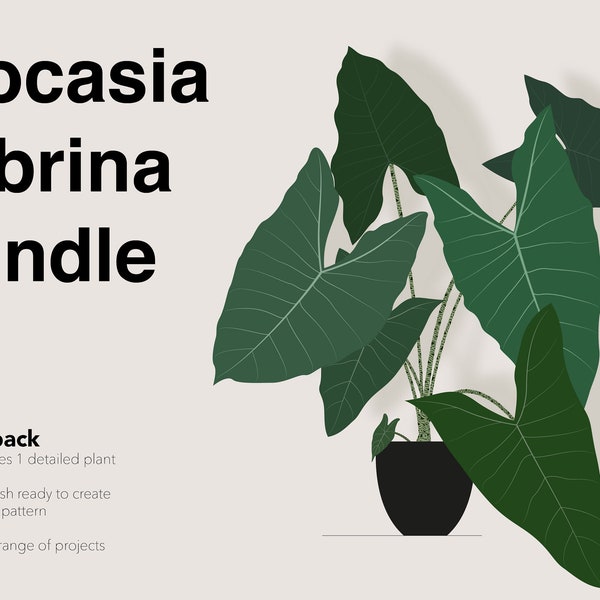 Vector pack -—- Alocasia Zebrina plant leaves brushes and pattern bundle  |  5 file formats