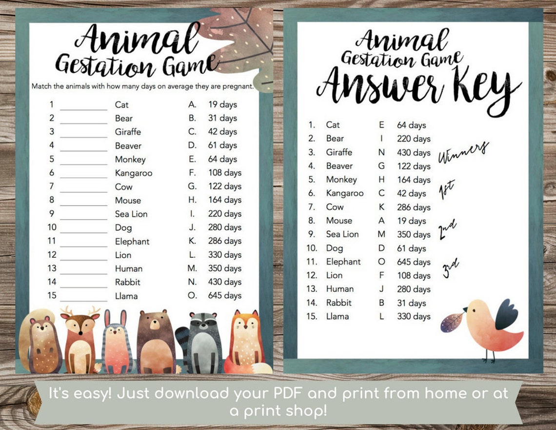 Animal Gestation-baby Shower Games-baby Animals Game-how Long | Etsy