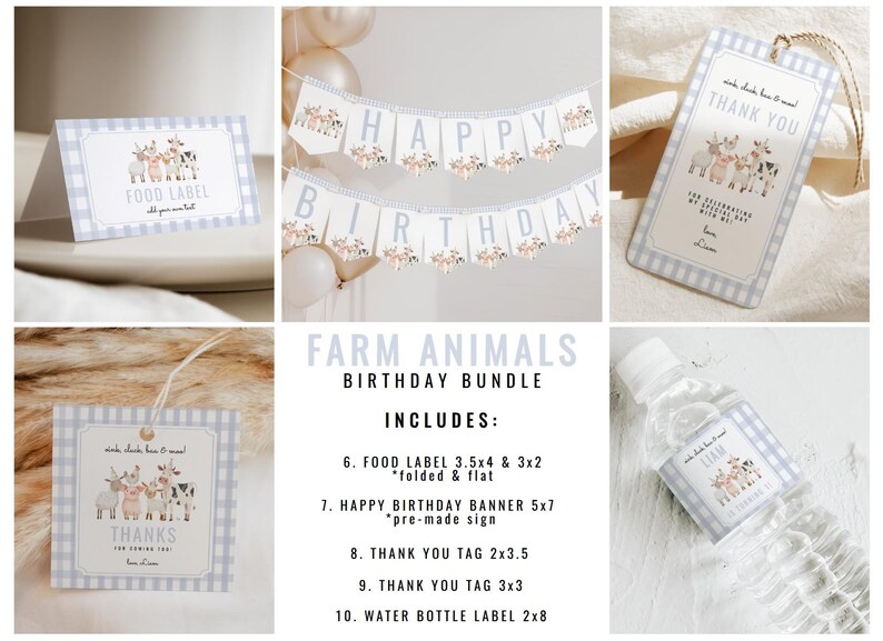 Blue Gingham Farm Animals 1st Birthday Bundle, Oink Cluck Baa Moo Party ...