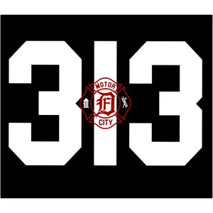 313 #3