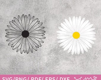 Margarita SVG, archivo de corte de flores, silueta de clipart (descarga digital)