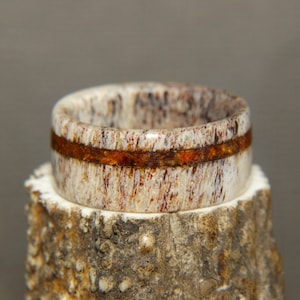 Antler Ring - "Ironwood" Deer Antler