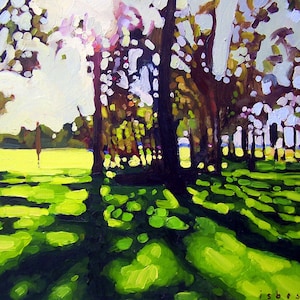 Equinox | limited edition | giclee print | Australian Landscaspe | Sunlight | Impressionism | Impressionist | Trees late afternoon | light