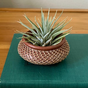 Puede incluir: Una pequeña planta de aire en una maceta de mimbre marrón con una cubierta decorativa de mimbre marrón claro. La maceta está sobre un libro verde.