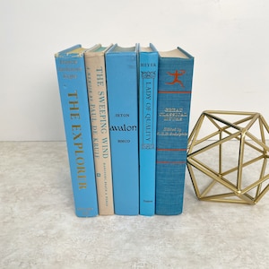 Sky Blue Book Bundle Set of 5, Decorative Book Stack, Old Book Collection, Vintage Hardcover Book Set, Instant Library, Shelf Filler