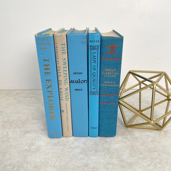 Sky Blue Book Bundle Set of 5, Decorative Book Stack, Old Book Collection, Vintage Hardcover Book Set, Instant Library, Shelf Filler