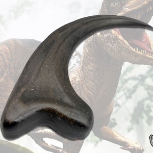 Velociraptor Claw - Jurassic Raptor Claw