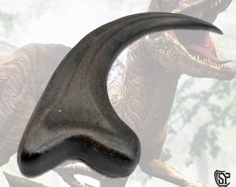 Velociraptor Claw - Jurassic Park Raptor Claw