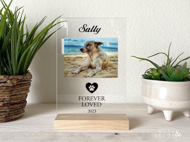 Peut inclure: Un cadre photo en acrylique transparent avec une base en bois. Le cadre contient une photo d'un chien sur une plage. Le texte "Sally" est en haut du cadre. Sous la photo se trouve une empreinte de patte noire dans un c&oelig;ur et le texte "Forever Loved 2023".