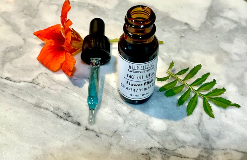 Blue Tansy & Prickly Pear oil serum, Flower Elixir serum, Organic gentle fast absorbing oils, nutrient dense protecting and rejuvenating image 1