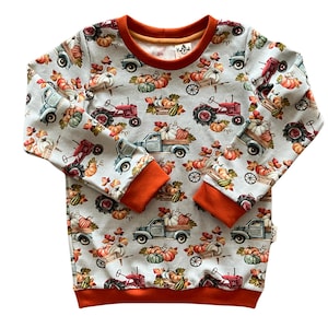 Può includere: Una felpa blu chiaro a maniche lunghe con un motivo di trattori rossi, camion e zucche. La felpa ha polsini a costine arancioni e un collo rotondo.