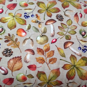 Bio-Baumwolljersey am laufenden Meter, europäischer CL-Strick mit Herbstlaubdruck: Blätter, Äpfel, Pilze, Beeren, Hagebutten, Tannenzapfen