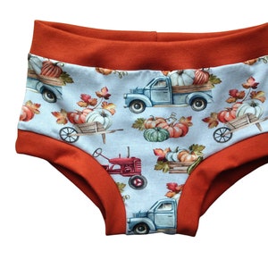 May include: Orange and blue cotton underwear with a fall-themed print featuring pumpkins, trucks, and tractors.