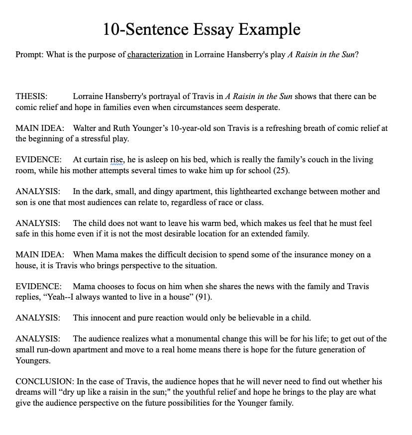 how to write a 10 sentence essay