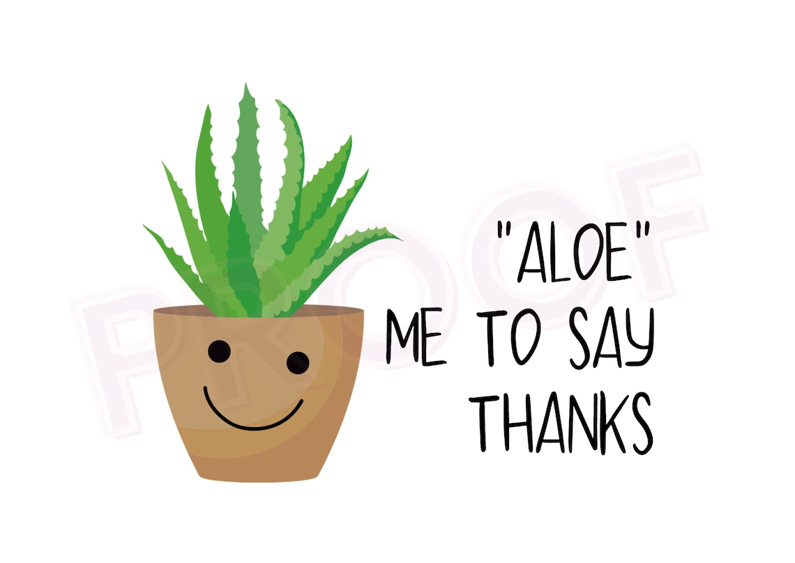 Aloe Plant Thank You Card / Print at Home Digital Download Etsy