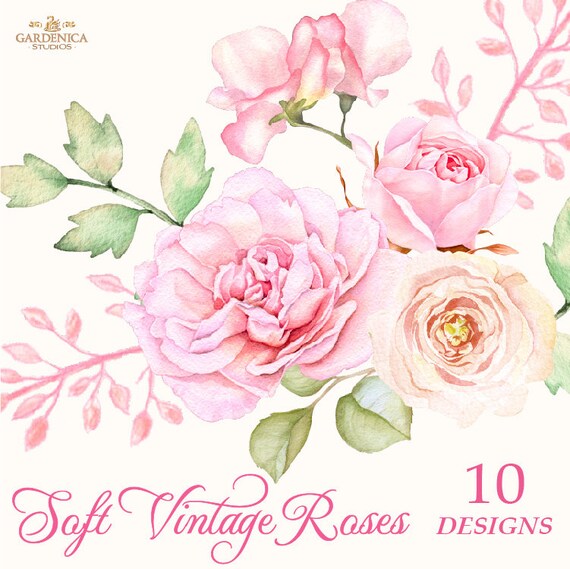 Watercolor Flowers Clipart Watercolor Roses Clipart Pink and Silver Roses Bouquet Clipart Floral Elements Png Digital Flowers Peonies