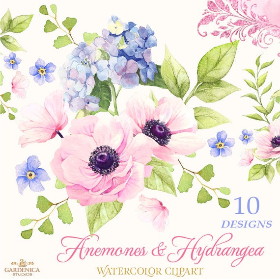 Download Vintage Watercolor Flowers Anemone Clipart Hydrangea Etsy