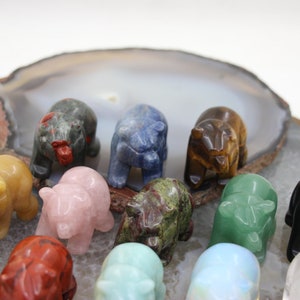 Hand Carved Natural Gemstones Bear Figurine,Jasper/Agate/Tiger Eye/Opal/White Jade/Labradorite/Amethyst Mini Bear Home Decoration 40x26x30mm Mix Stone (Random)