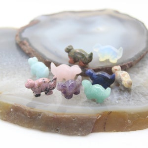 10pcs/lot 1 Inch Mini Crystal Dinosaur Figurine Wholesales,Hand Carved Dinosaur Statue,Healing Crystal Home Decor,Quartz Carving Animals