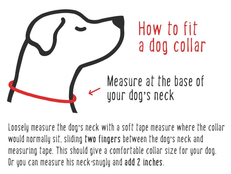 Dog Collar, Leather Dog Collar, Beaded Dog Collar , Masai, Dog collar leather, Pet Gift, Personalized Dog Collar, African Dog Collar, image 2