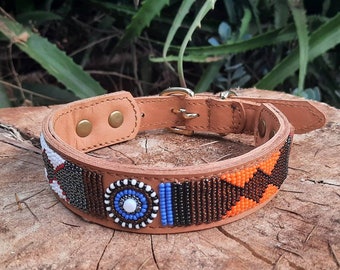 OrangeDog Collar, Leather Dog Collar, Beaded Dog Collar , Masai, Dog collar leather, Pet Gift, Personalized Dog Collar,  African Dog Collar,