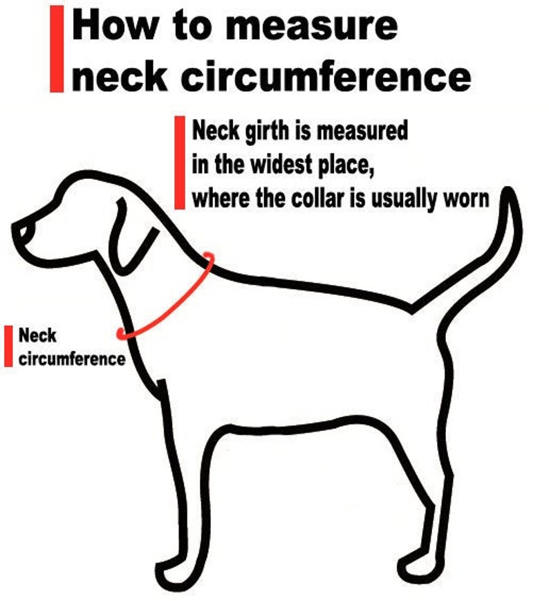 Dog Collar, Leather Dog Collar, Beaded Dog Collar , Masai, Dog collar leather, Pet Gift, Personalized Dog Collar, African Dog Collar, image 3