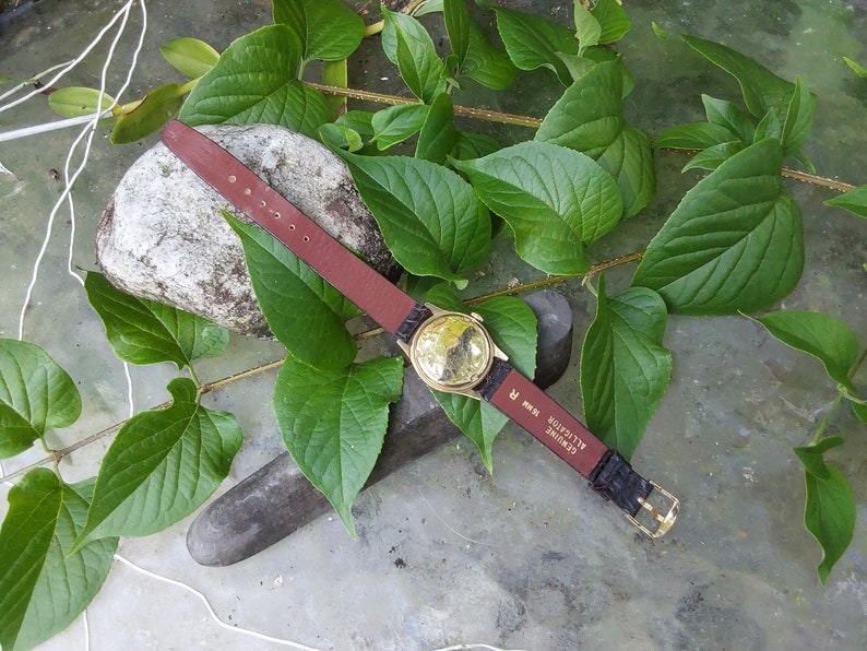 May include: A gold-tone wristwatch with a brown leather band. The watch face is not visible. The watch is lying on a gray surface with green leaves.