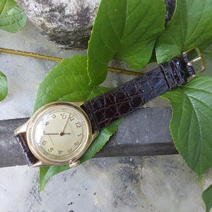 May include: A gold wristwatch with a white face and black leather band. The watch is lying on a gray surface with green leaves in the background.