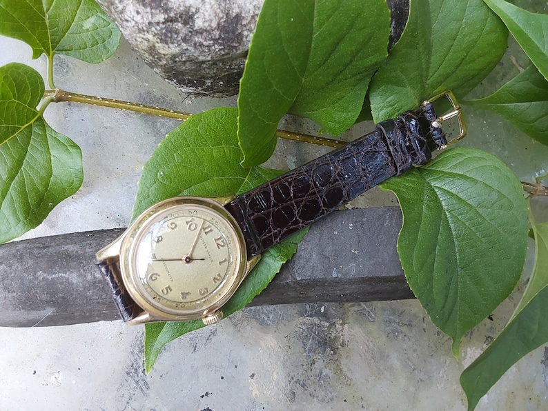 May include: A gold wristwatch with a white face and black leather band. The watch is lying on a gray surface with green leaves in the background.